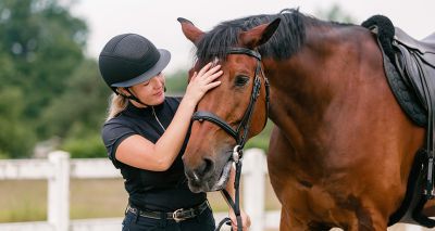 New fat-scoring resources for horse owners